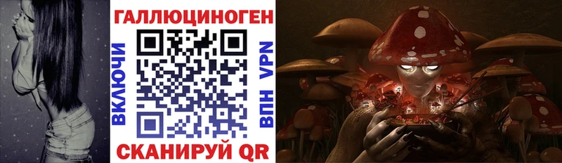 Галлюциногенные грибы Psilocybe  наркотики  Катайск 